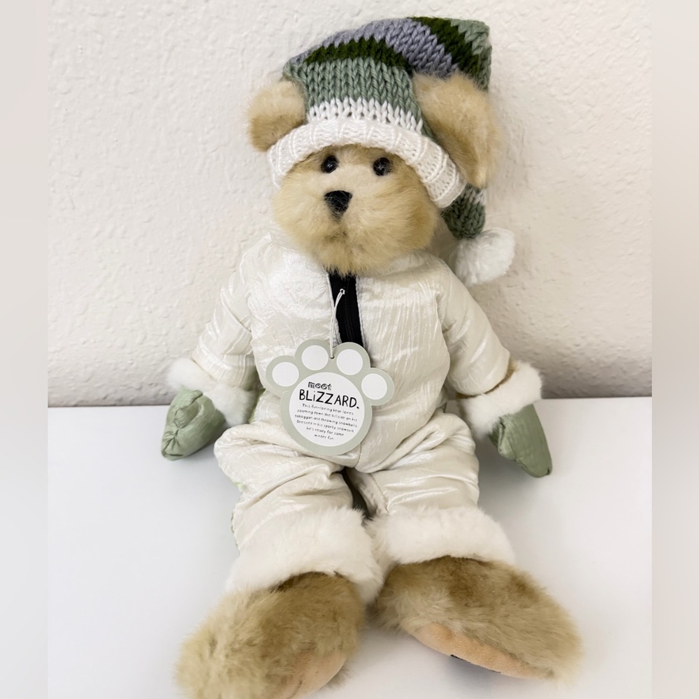 Trade Secret Blizzard teddy bear Vintage 2004, Winter Bear Knitted Hat